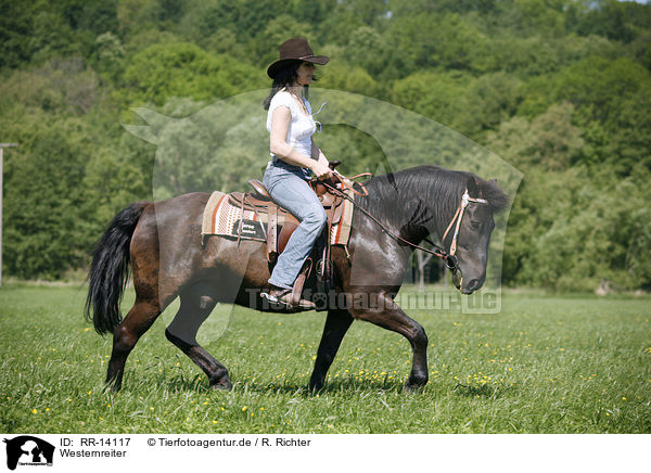 Westernreiter / western rider / RR-14117