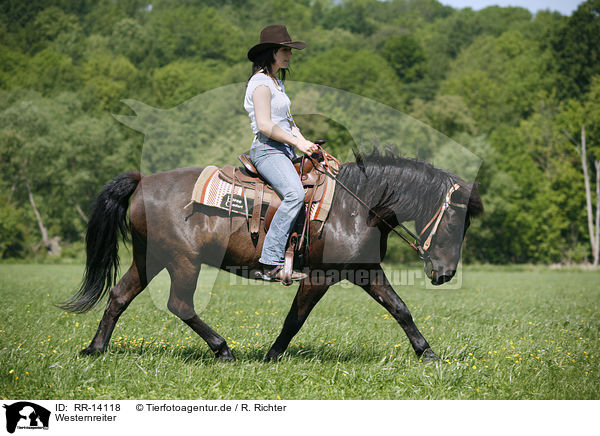 Westernreiter / western rider / RR-14118
