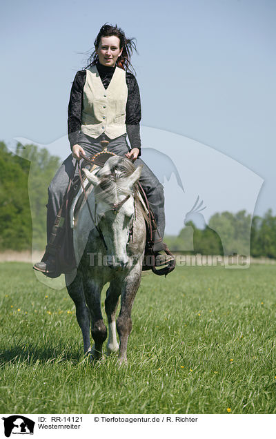 Westernreiter / western rider / RR-14121