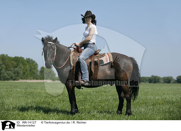 Westernreiter / western rider / RR-14127