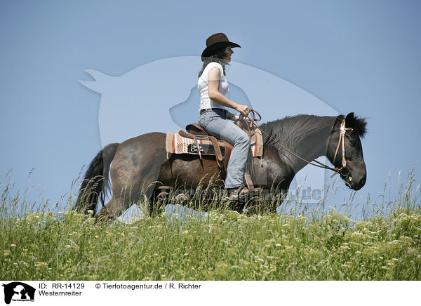 Westernreiter / western rider / RR-14129