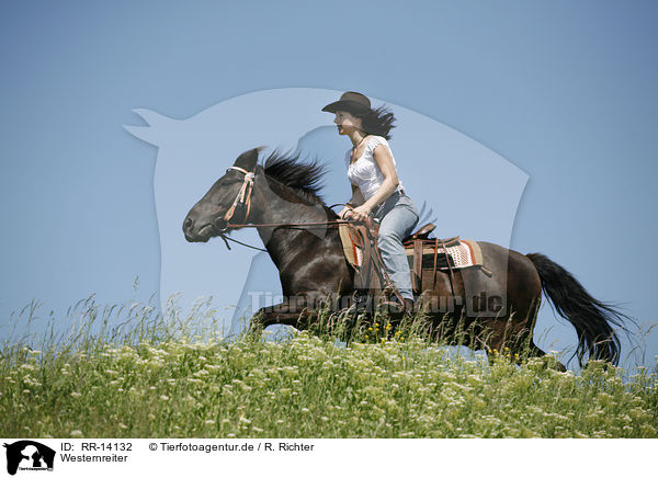 Westernreiter / western rider / RR-14132