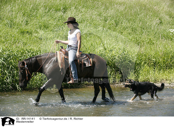 Westernreiter / western rider / RR-14141