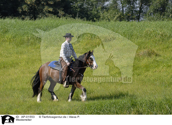 Westerreiter / western riding / AP-01553