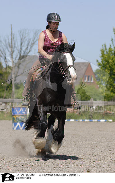 Barrel Race / Barrel Race / AP-03009