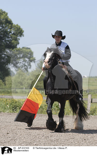 Westernreiten / western riding / AP-03163