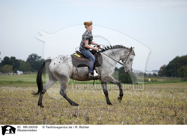 Westernreiten / western riding / RR-39009