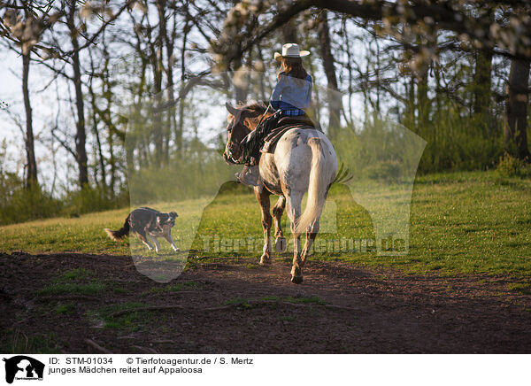 junges Mdchen reitet auf Appaloosa / STM-01034