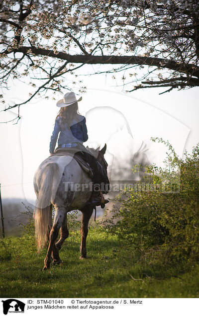 junges Mdchen reitet auf Appaloosa / young girl rides on Appaloosa / STM-01040