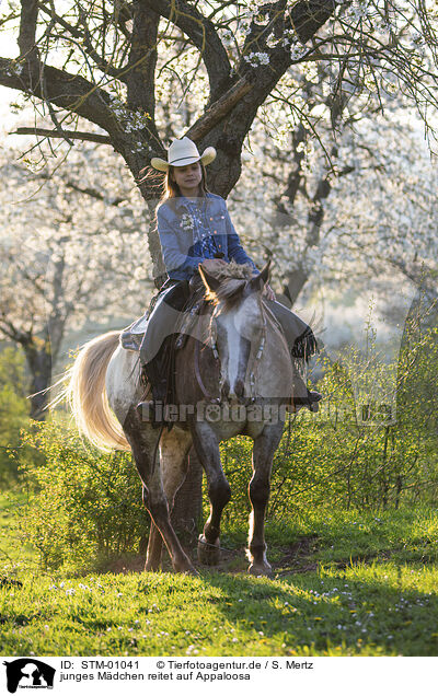 junges Mdchen reitet auf Appaloosa / young girl rides on Appaloosa / STM-01041