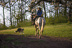 junges Mdchen reitet auf Appaloosa