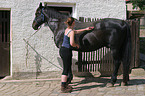 Mädchen striegelt Pferd