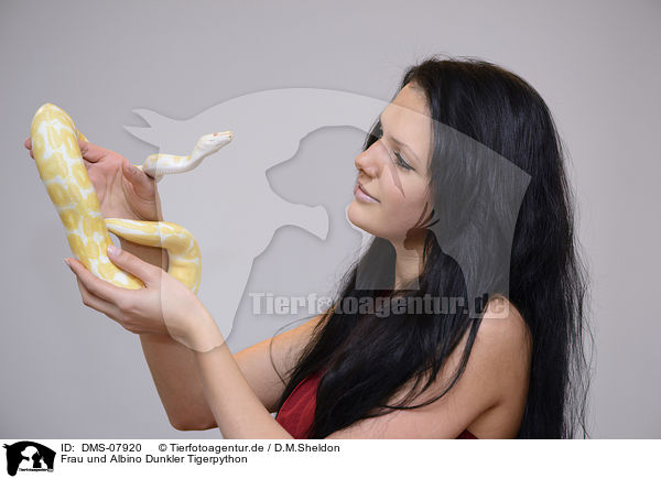 Frau und Albino Dunkler Tigerpython / woman and Albino Burmese python / DMS-07920