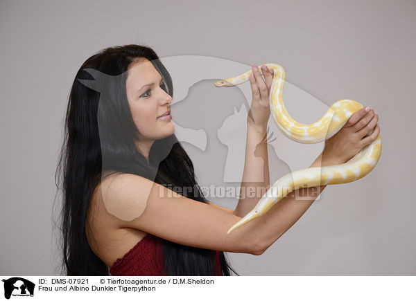 Frau und Albino Dunkler Tigerpython / woman and Albino Burmese python / DMS-07921