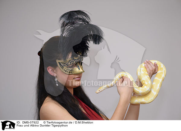 Frau und Albino Dunkler Tigerpython / DMS-07922