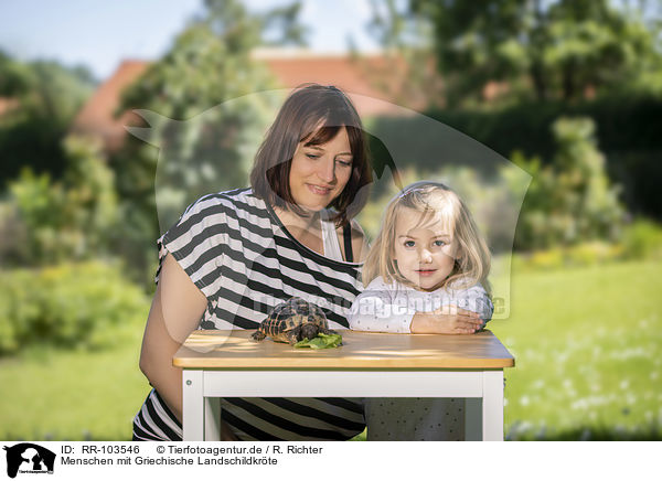 Menschen mit Griechische Landschildkrte / humans with Greek tortoise / RR-103546