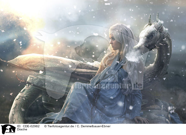Drache / Dragon / CDE-02982