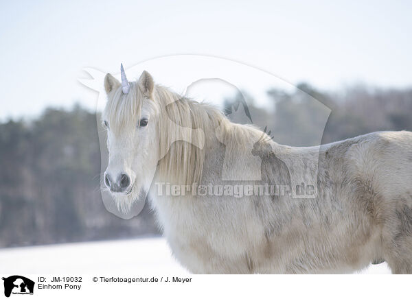 Einhorn Pony / Unicorn Pony / JM-19032