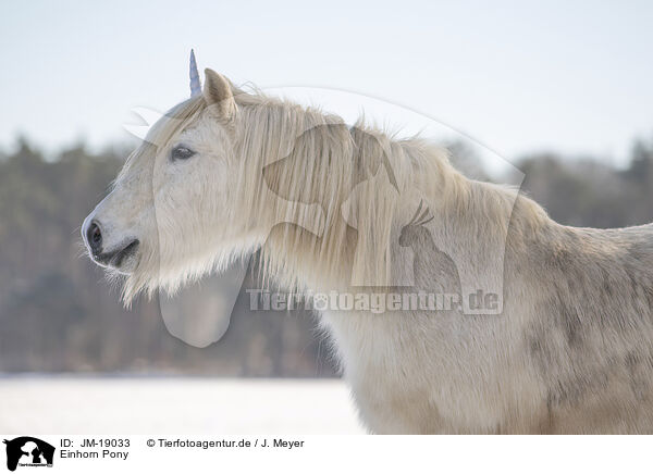 Einhorn Pony / Unicorn Pony / JM-19033