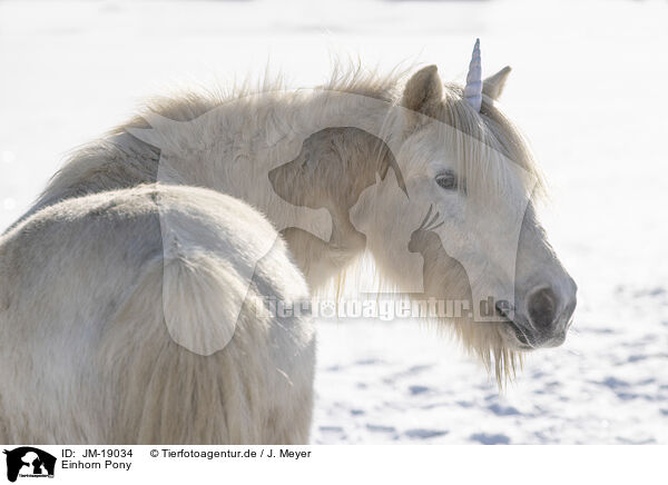 Einhorn Pony / Unicorn Pony / JM-19034