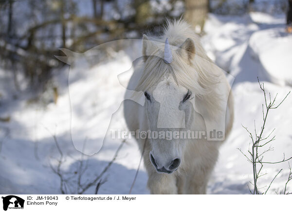 Einhorn Pony / Unicorn Pony / JM-19043