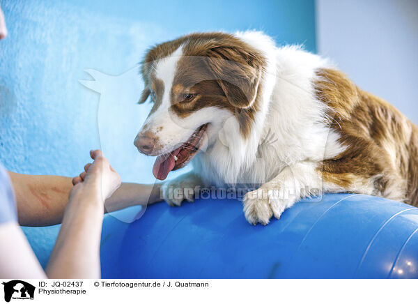 Physiotherapie / physiotherapy / JQ-02437