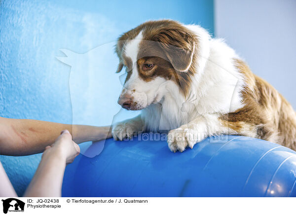 Physiotherapie / physiotherapy / JQ-02438