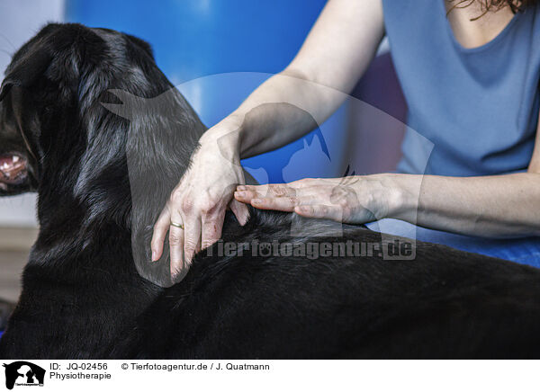 Physiotherapie / JQ-02456