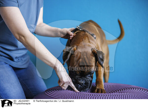Physiotherapie / physiotherapy / JQ-02461
