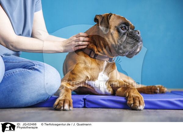 Physiotherapie / physiotherapy / JQ-02466