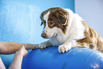 Physiotherapie