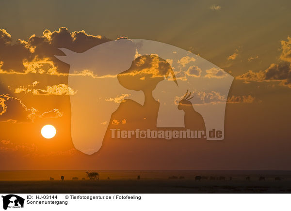 Sonnenuntergang / HJ-03144