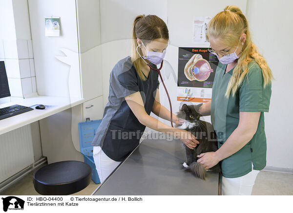 Tierrztinnen mit Katze / veterinarians with cat / HBO-04400