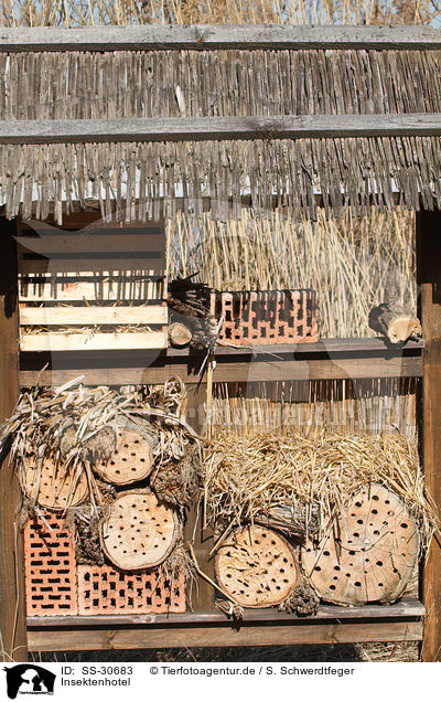 Insektenhotel / insect hotel / SS-30683