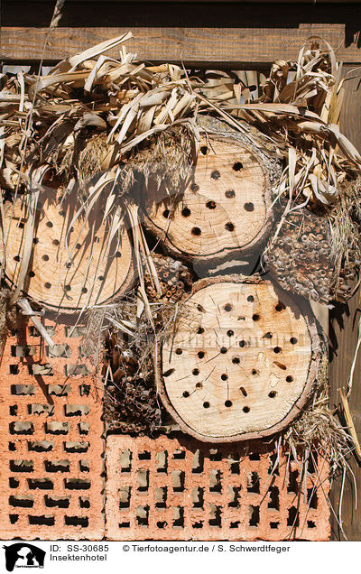 Insektenhotel / insect hotel / SS-30685