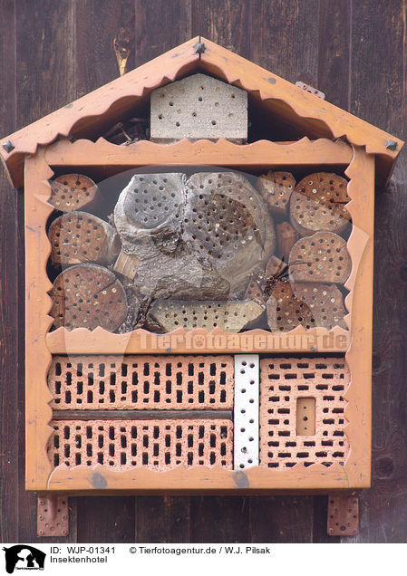 Insektenhotel / insect hotel / WJP-01341