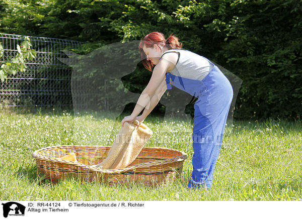 Alltag im Tierheim / daily routine at pound / RR-44124