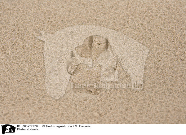 Pfotenabdruck / paw print / SG-02179