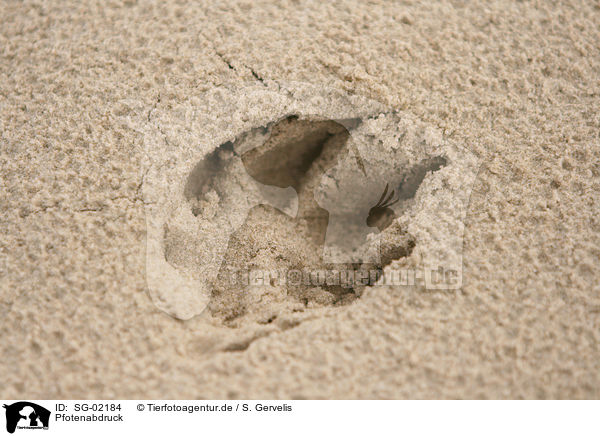 Pfotenabdruck / paw print / SG-02184