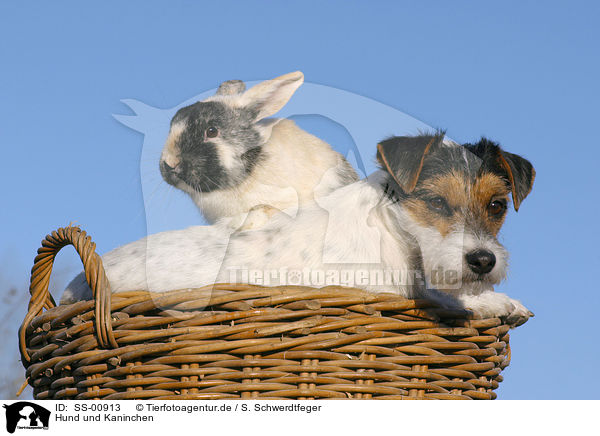 Hund und Kaninchen / SS-00913