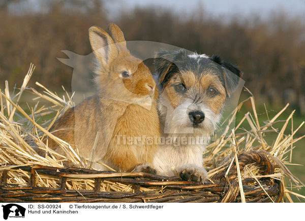 Hund und Kaninchen / SS-00924