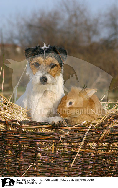 Hund & Kaninchen / SS-00752