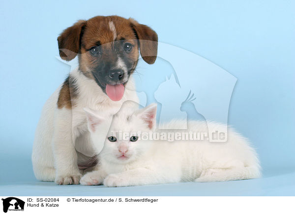 Hund & Katze / SS-02084