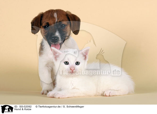 Hund & Katze / SS-02092