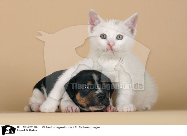 Hund & Katze / SS-02104