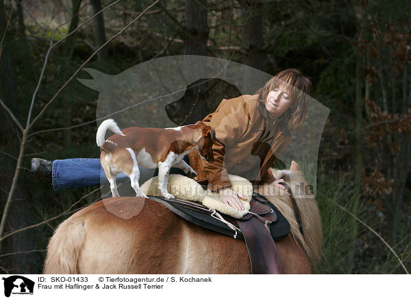 Frau mit Haflinger & Jack Russell Terrier / woman with Haflinger & Jack Russell Terrier / SKO-01433