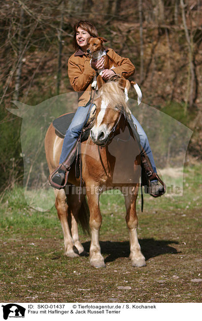 Frau mit Haflinger & Jack Russell Terrier / SKO-01437