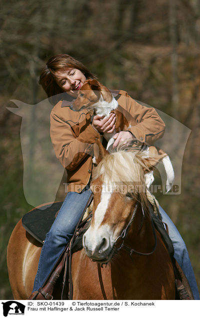 Frau mit Haflinger & Jack Russell Terrier / SKO-01439