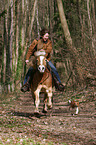 Frau mit Haflinger & Jack Russell Terrier