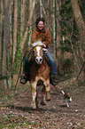 Frau mit Haflinger & Jack Russell Terrier